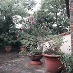 Il Fico Di Сasa de vacaciones Cortona