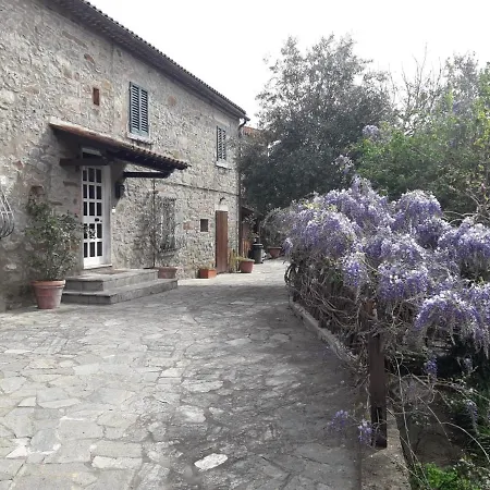 Il Fico Di Semesterbostad Cortona