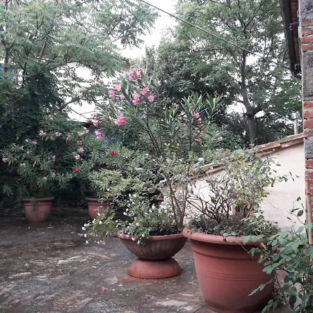 Il Fico Di Semesterbostad Cortona