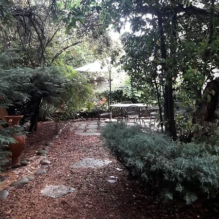 Semesterbostad Il Fico Di Cortona