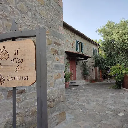 Il Fico Di * Cortona