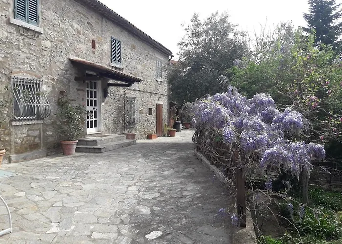 Il Fico Di Semesterbostad Cortona