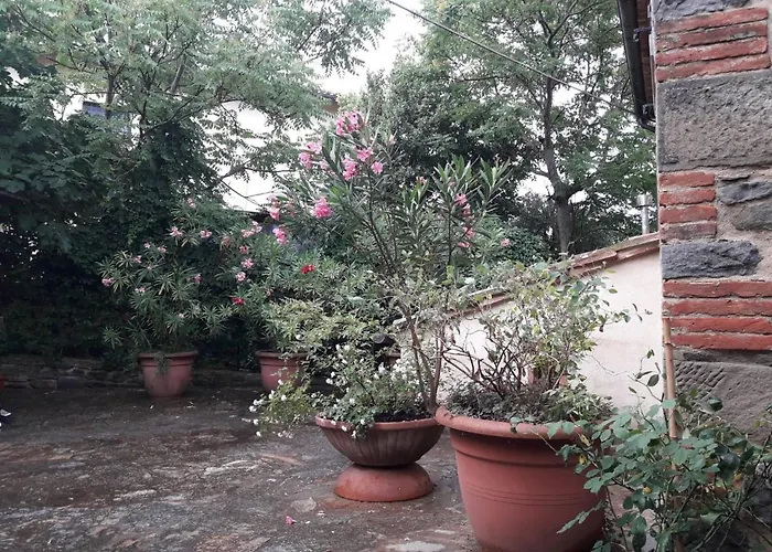 Il Fico Di Semesterbostad Cortona